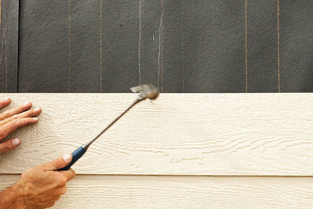 Affordable Siding Repair and Maintenance Services in Lennox, CA